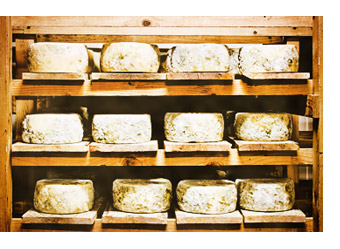 gallery/film-img-queijo